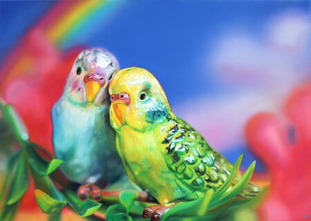 Budgie Love