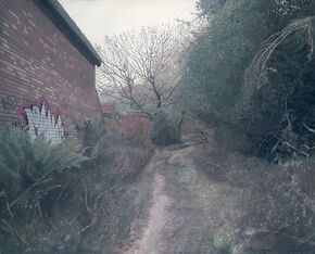 Path To The Park