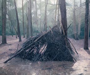 Shelter