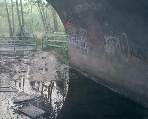 Stepping Stones